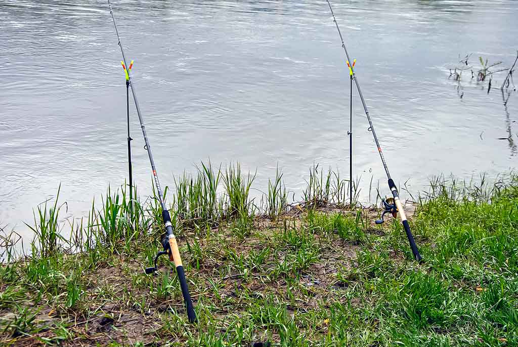 Salmo Diamond Feeder 90 Salmo Diamond Feeder 90