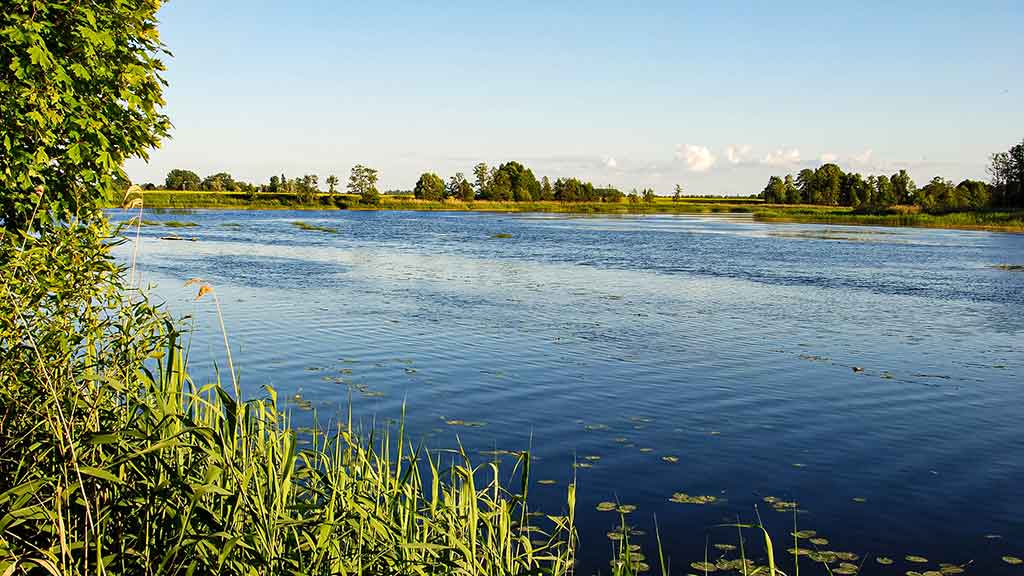 Sužvejokime retai pagaunamą žuvį. Amūro paieškos ir gundymas Sužvejokime retai pagaunamą žuvį. Amūro paieškos ir gundymas
