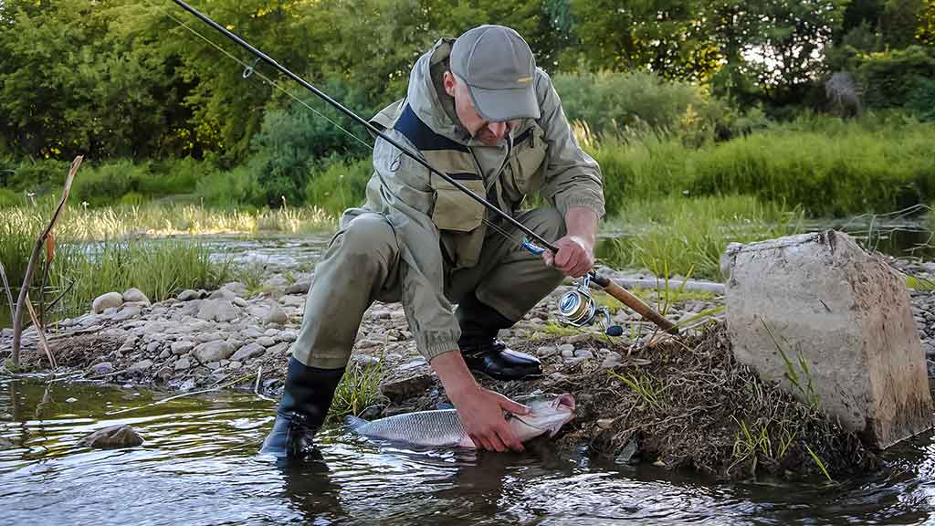 Geriau trumpas ar ilgas kotas? Geriau trumpas ar ilgas kotas?