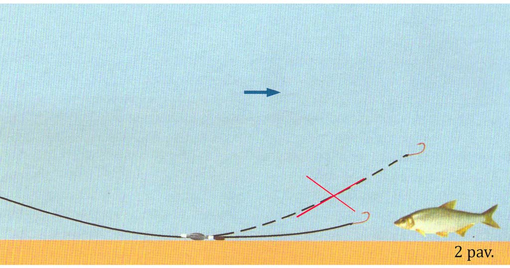 Žiobrių gaudymas. Sistemėlės dugninėms Žiobrių gaudymas. Sistemėlės dugninėms