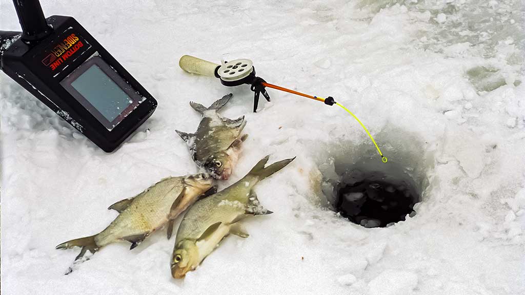Karšio gaudymas, laikant rankas kišenėse. Pirma dalis Karšio gaudymas, laikant rankas kišenėse. Pirma dalis