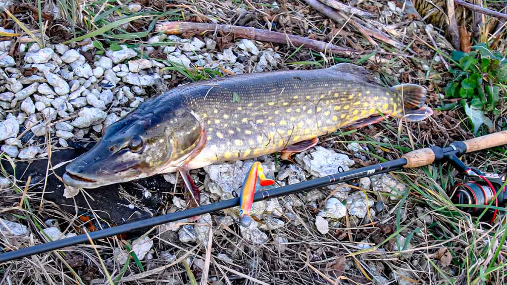 Ten, kur tekėjo upelis. Pirma dalis Ten, kur tekėjo upelis. Pirma dalis