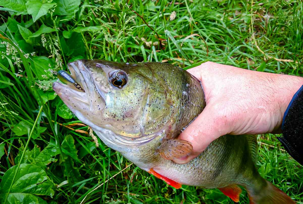 Ar sunku įsisavinti tvičingą? Pavadėliai ir cast tipo įranga Ar sunku įsisavinti tvičingą? Pavadėliai ir cast tipo įranga