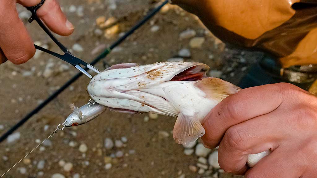 Kur geriausiai gaudyti pirmąją lydeką Kur geriausiai gaudyti pirmąją lydeką