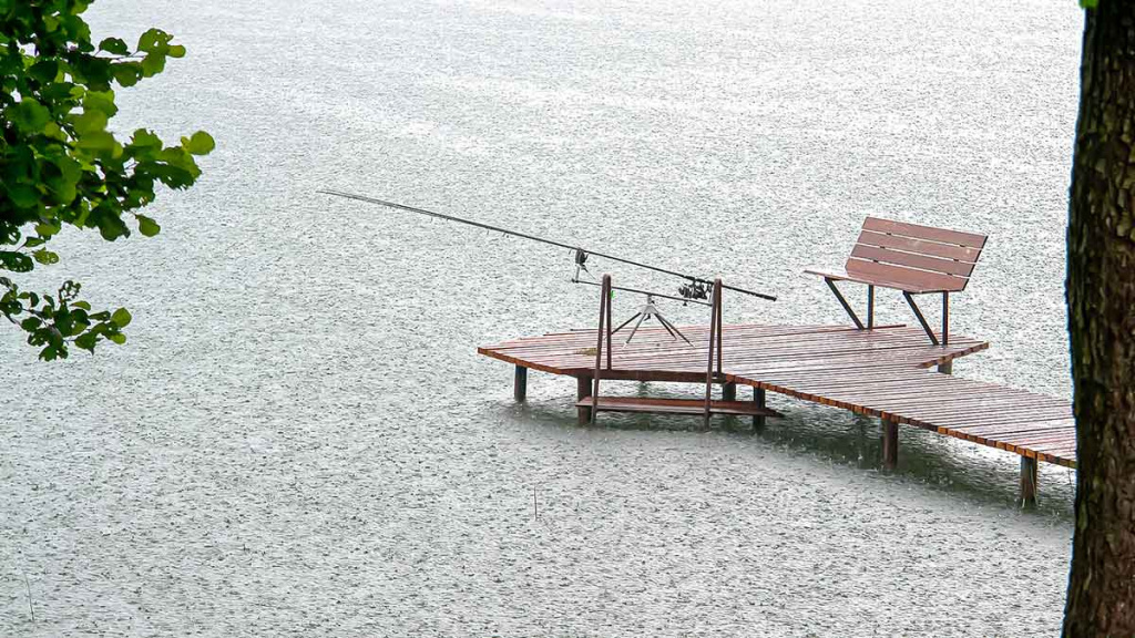 Dugninė. Karklo šaka ar specialus stovelis? Antra dalis Dugninė. Karklo šaka ar specialus stovelis? Antra dalis