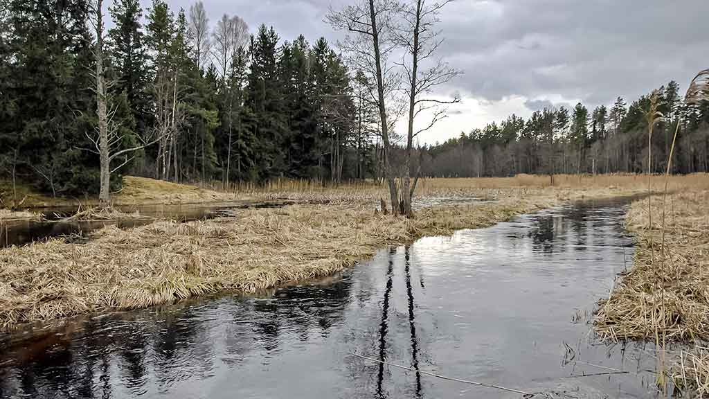 Balta dėmė upėtakininko žemėlapyje? Grūdos intake ir Grūdoje Balta dėmė upėtakininko žemėlapyje? Grūdos intake ir Grūdoje