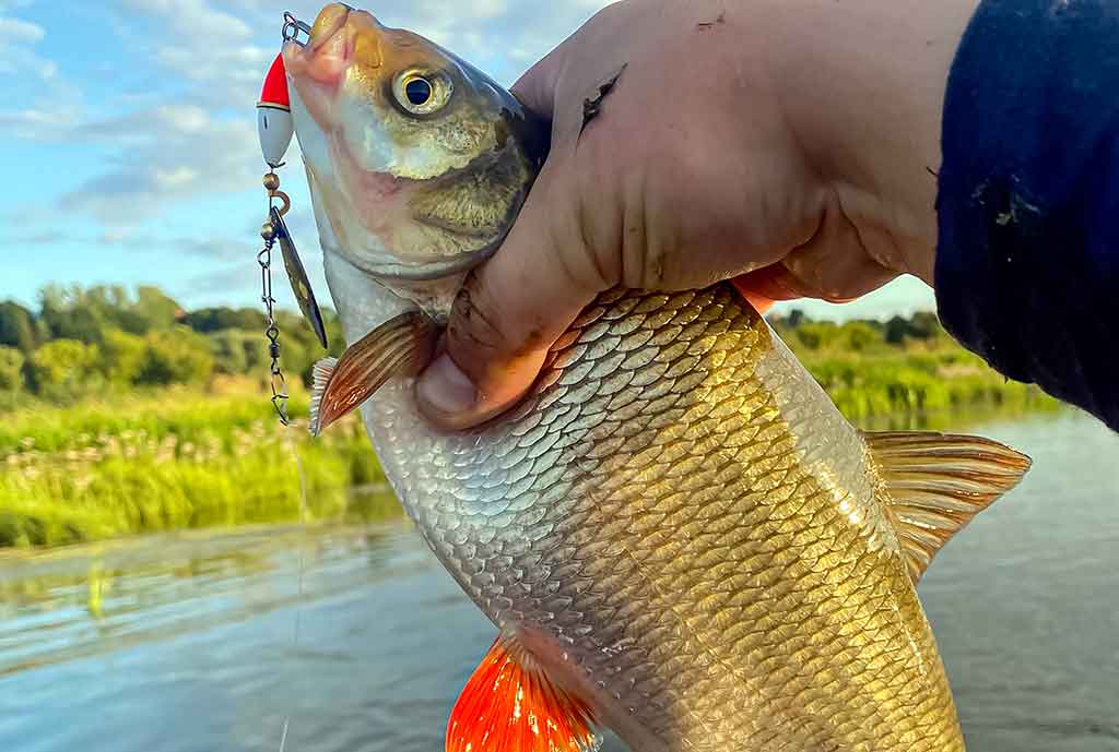 Kaip sukriukę nusviesti iki kito kranto. Pirma dalis Kaip sukriukę nusviesti iki kito kranto. Pirma dalis