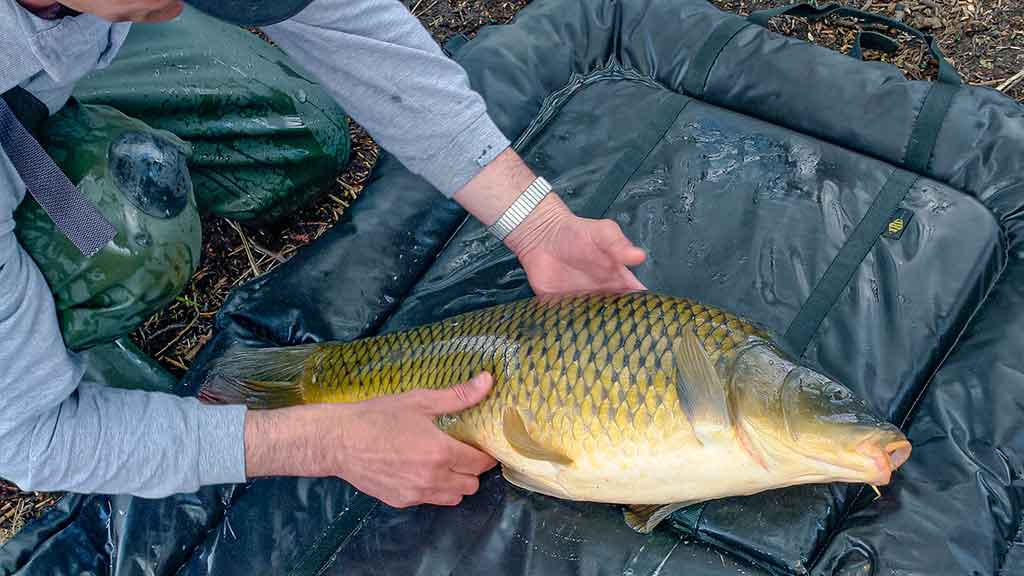 Karpių gaudymo vingrybės. Apie vandens telkinius ir temperatūrą Karpių gaudymo vingrybės. Apie vandens telkinius ir temperatūrą