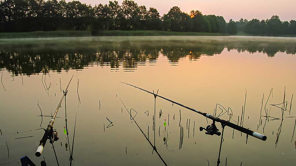Sužvejokime retai pagaunamą žuvį. Amūro paieškos ir gundymas Sužvejokime retai pagaunamą žuvį. Amūro paieškos ir gundymas