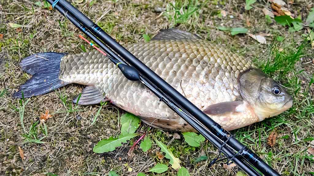 Ką reikia žinoti apie match meškerę Ką reikia žinoti apie match meškerę
