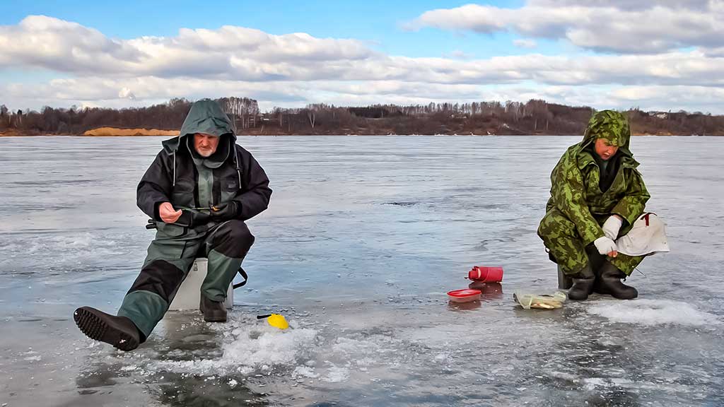 Bemasalinė avižėlė – mitai ir tikrovė Bemasalinė avižėlė – mitai ir tikrovė