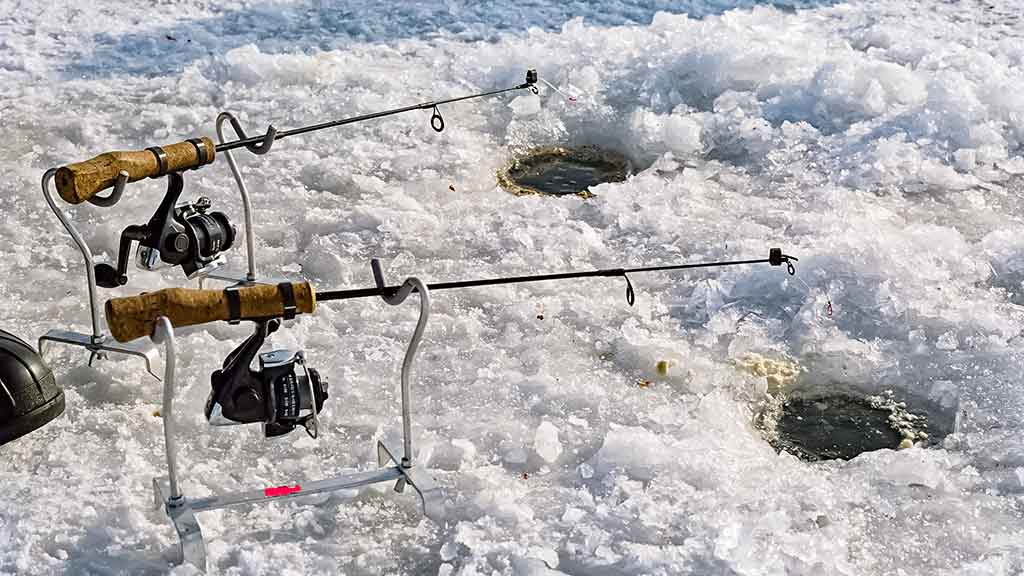 Šiek tiek kitaip apie karšių jaukinimą Šiek tiek kitaip apie karšių jaukinimą