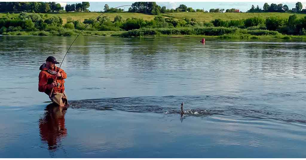 Apie mažiau paklausius voblerius Apie mažiau paklausius voblerius