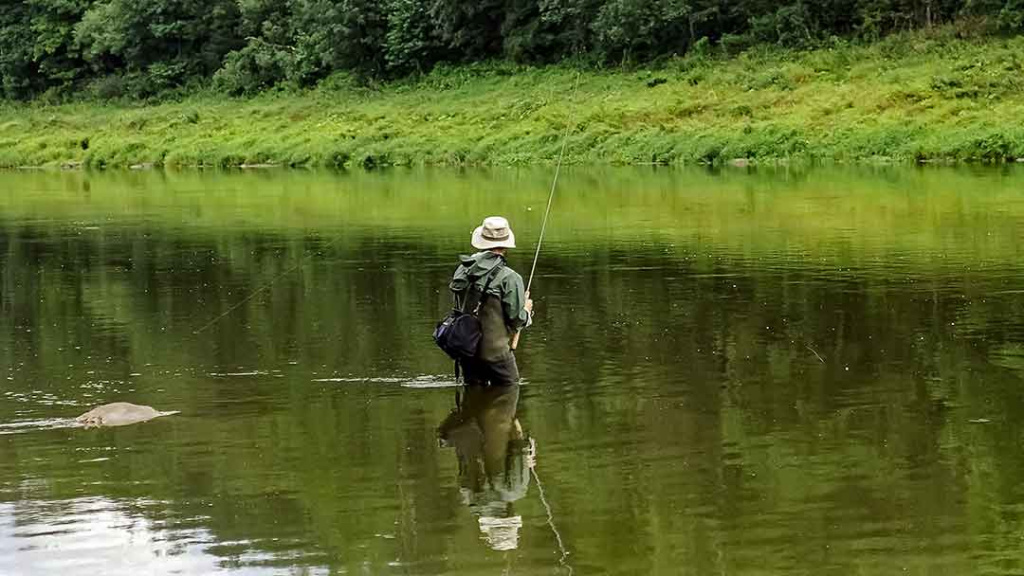 Ūsoriauti su spiningu Ūsoriauti su spiningu