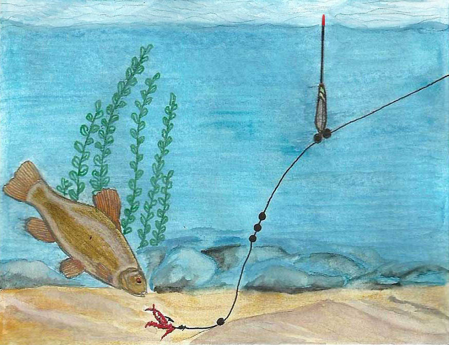 Lynų meškeriojimas: tvirta meškerė ir jaukas su įdaru Lynų meškeriojimas: tvirta meškerė ir jaukas su įdaru