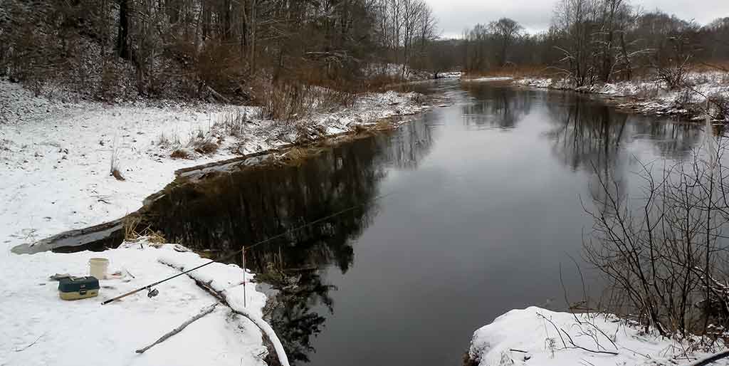 Miegančio lyno gaudymas Miegančio lyno gaudymas