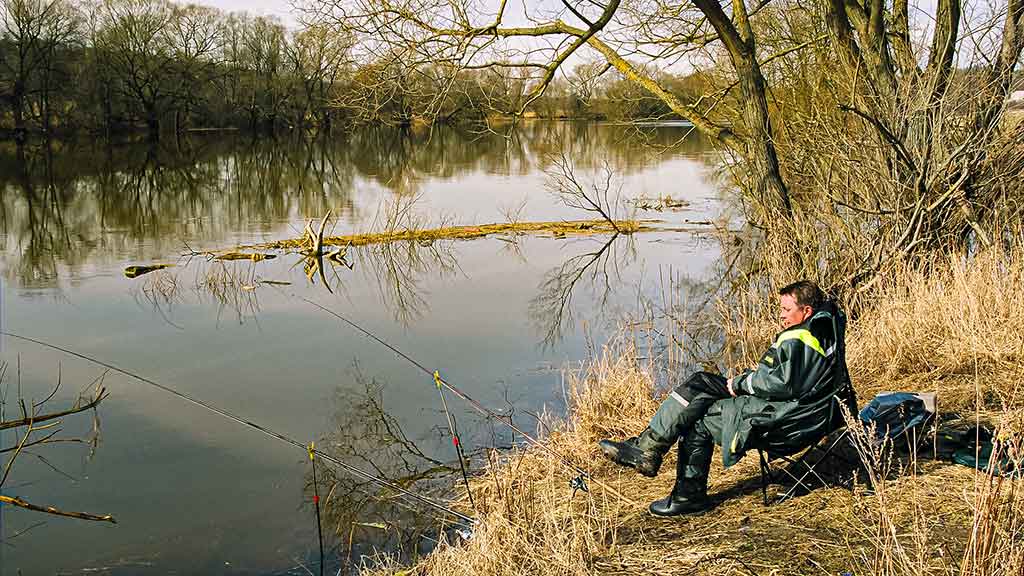 Nenuvertinkime kuojų žūklės. Apie meškeriotoją ir migruojančią kuoją Nenuvertinkime kuojų žūklės. Apie meškeriotoją ir migruojančią kuoją