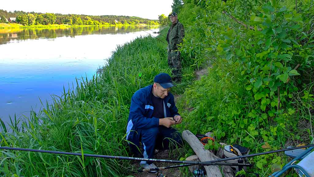 Plačiau apie viršūnėles ir šiek tiek apie dugnines. Pirma dalis Plačiau apie viršūnėles ir šiek tiek apie dugnines. Pirma dalis