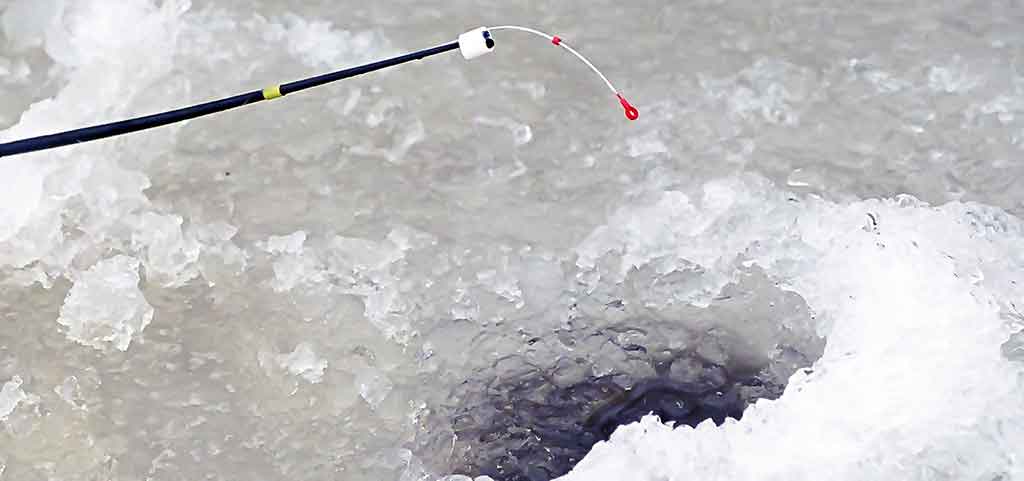 Plūdė žiemai Plūdė žiemai