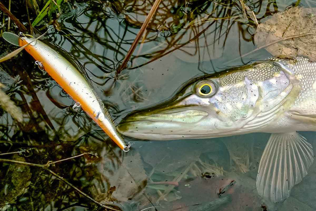 Ar sunku įsisavinti tvičingą? Ritė ir valas Ar sunku įsisavinti tvičingą? Ritė ir valas