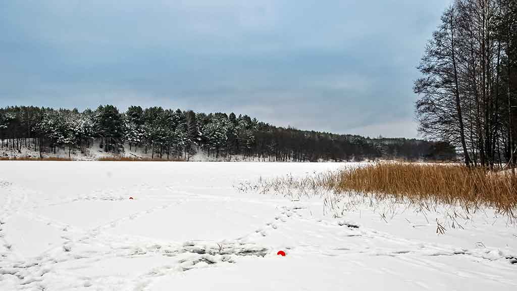 Pirmledžio lydekos. Kai plėšrūnės neranda sau vietos Pirmledžio lydekos. Kai plėšrūnės neranda sau vietos