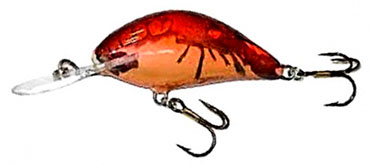 Salmo-Hornet Salmo-Hornet