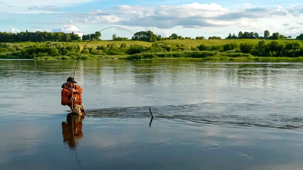 Nemunas nuo Merkinės iki Alytaus. Retai žvejų lankomos vietos Nemunas nuo Merkinės iki Alytaus. Retai žvejų lankomos vietos
