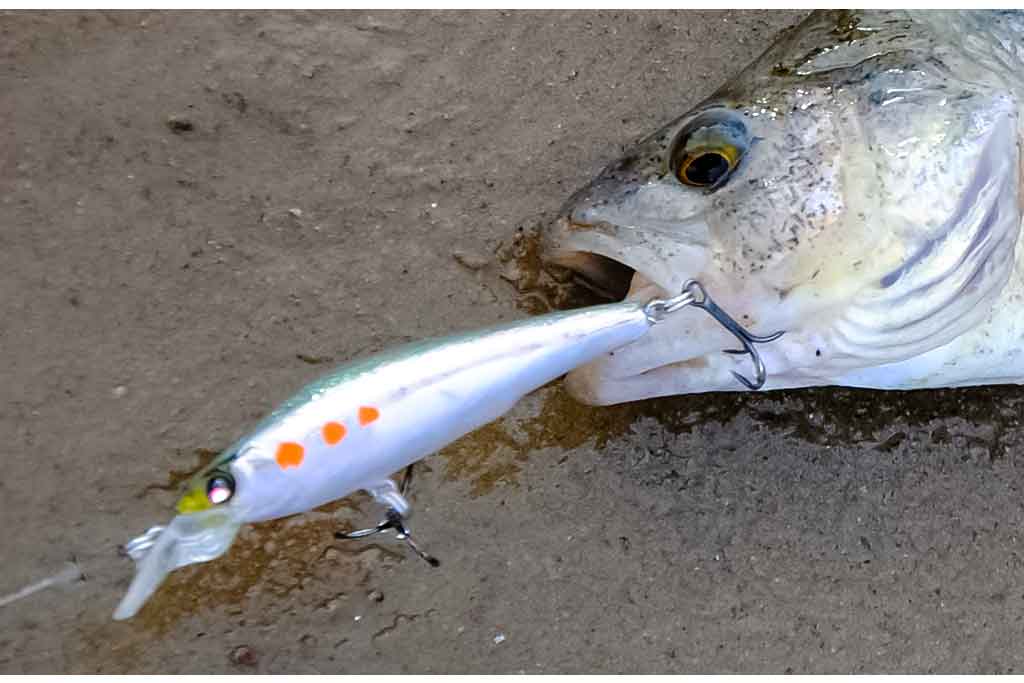 Voblerių dažymas. Ką dar galėčiau pasakyti... Voblerių dažymas. Ką dar galėčiau pasakyti...