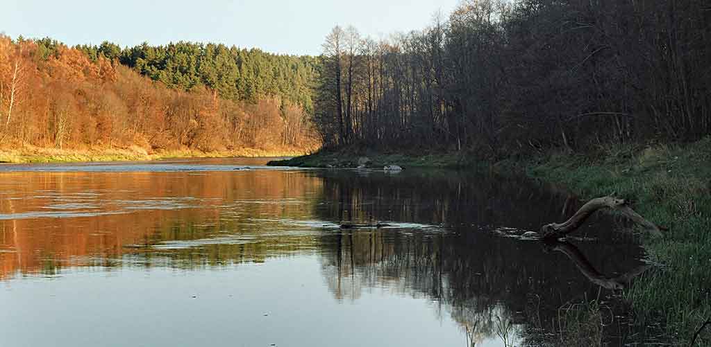 Jei oras tarsi lapkričio pabaigoje Jei oras tarsi lapkričio pabaigoje