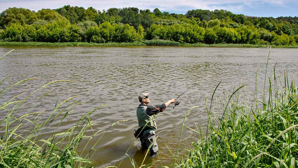 Upė ir lydekos. Prie pat kranto Upė ir lydekos. Prie pat kranto