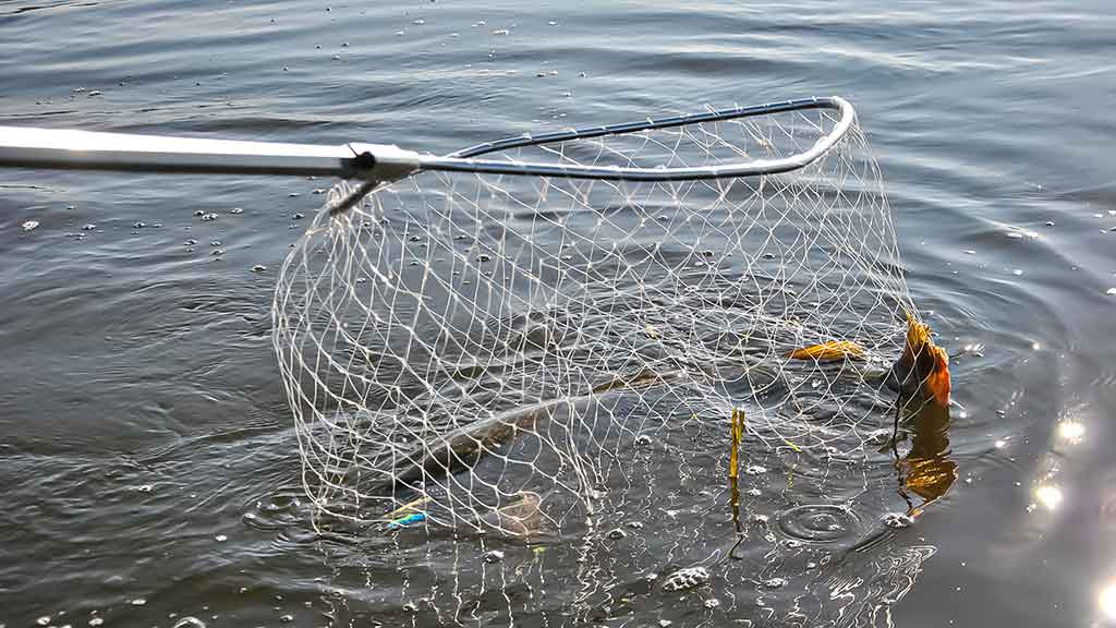 Lydekos, tvičingas ir dideli vobleriai. Kuo ypatingi šie masalai? Lydekos, tvičingas ir dideli vobleriai. Kuo ypatingi šie masalai?