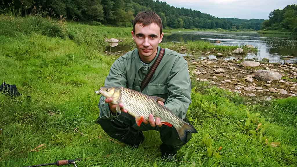 Pamąstymai apie šapalus ir jiems skirtus masalus Pamąstymai apie šapalus ir jiems skirtus masalus