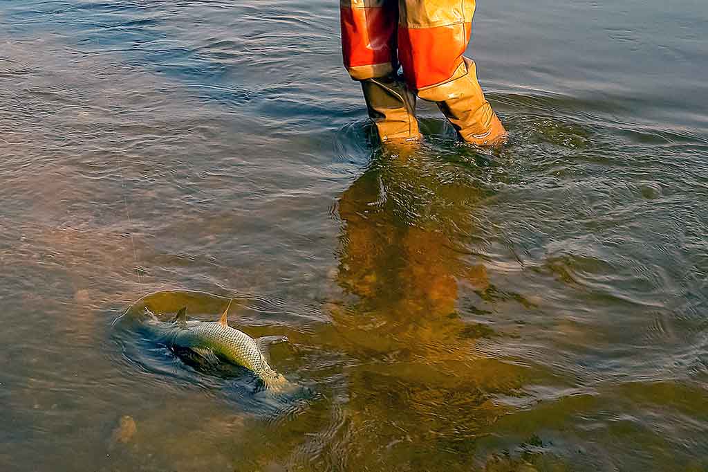 Kokiu spiningu toliau užmesime masalą? Kokiu spiningu toliau užmesime masalą?