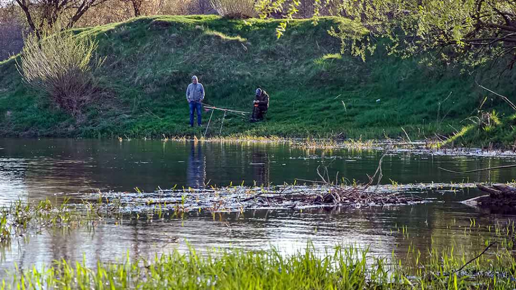 Karosai vietoje žiobrių Karosai vietoje žiobrių