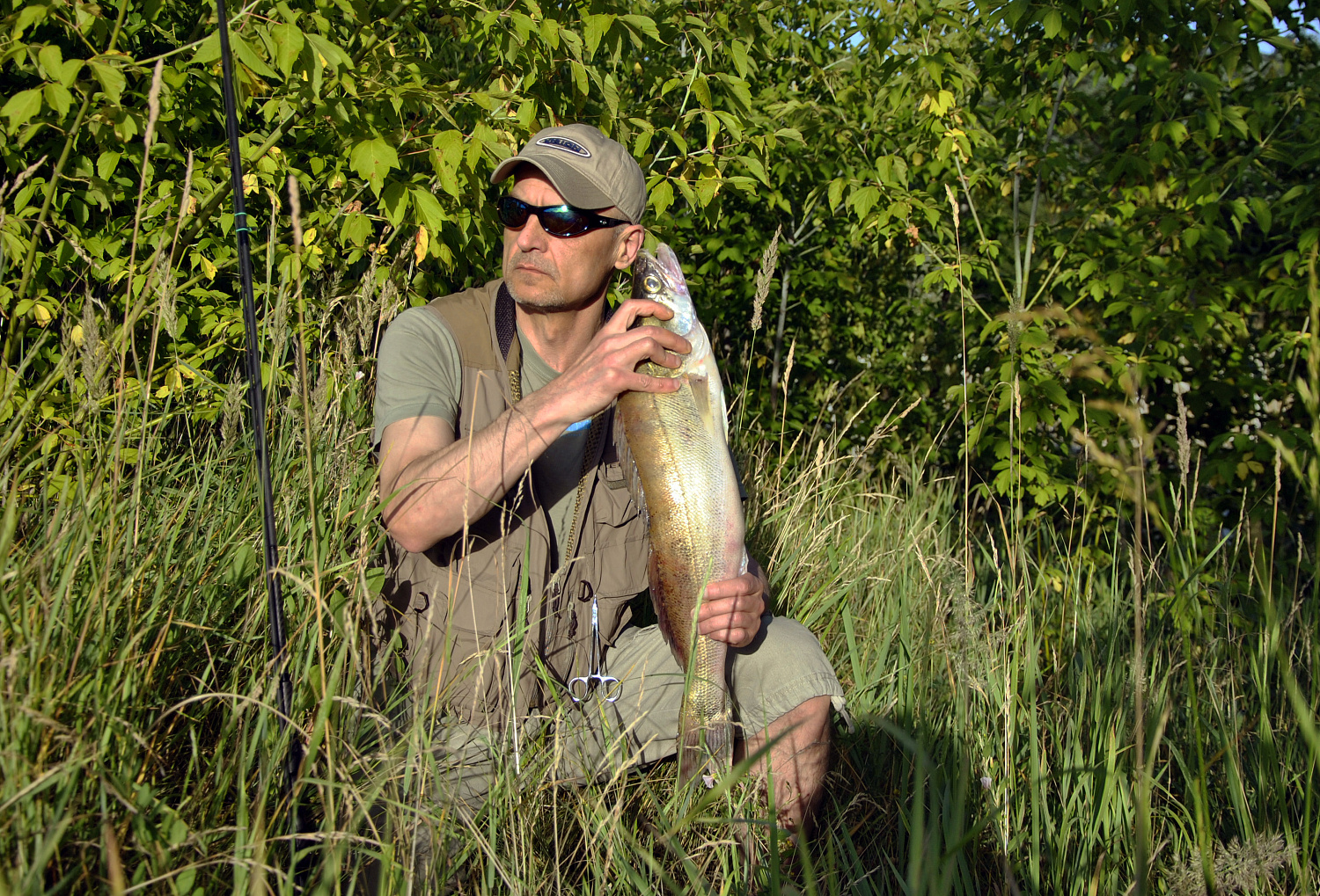 Sterką džigaujant? Elementaru, Vatsonai Sterką džigaujant? Elementaru, Vatsonai