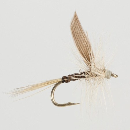 Muselė Turrall Dry Winged Blue Quill salmo.lt Muselė Turrall Dry Winged Blue Quill
