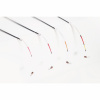 Sargelis lavsaninis DR® salmo.lt Sargelis lavsaninis DR®