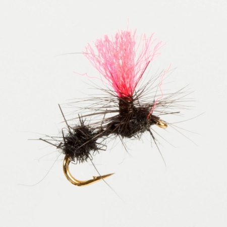 Muselė Turrall Terrestrials Ant Hi Vis salmo.lt Muselė Turrall Terrestrials Ant Hi Vis