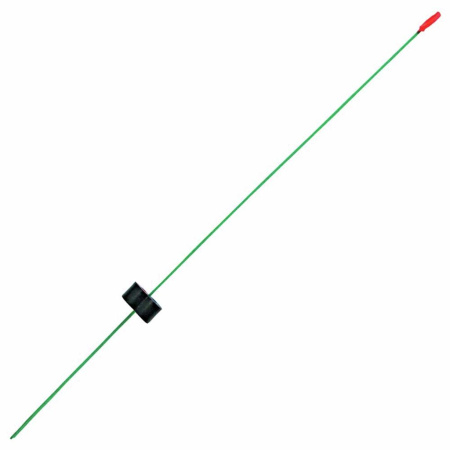 Sargelis lavsaninis Salmo salmo.lt Sargelis lavsaninis Salmo