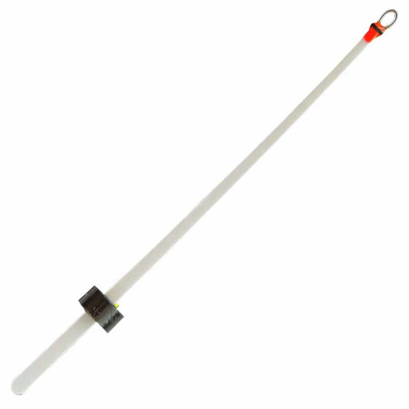 Sargelis salmo.lt Sargelis